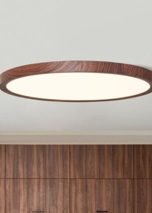 Minimalist LED Ultra-thin Flush Mount Ceiling